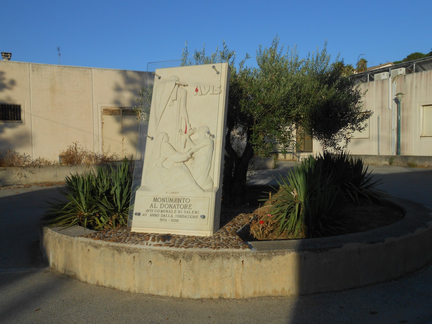 Donare il sangue salva vite: la missione dell’Avis di Salemi